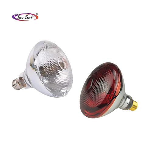 Heating Lamp Bulp